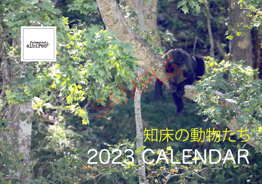 【数量限定】知床の動物たち 2023年カレンダー 入荷のお知らせ