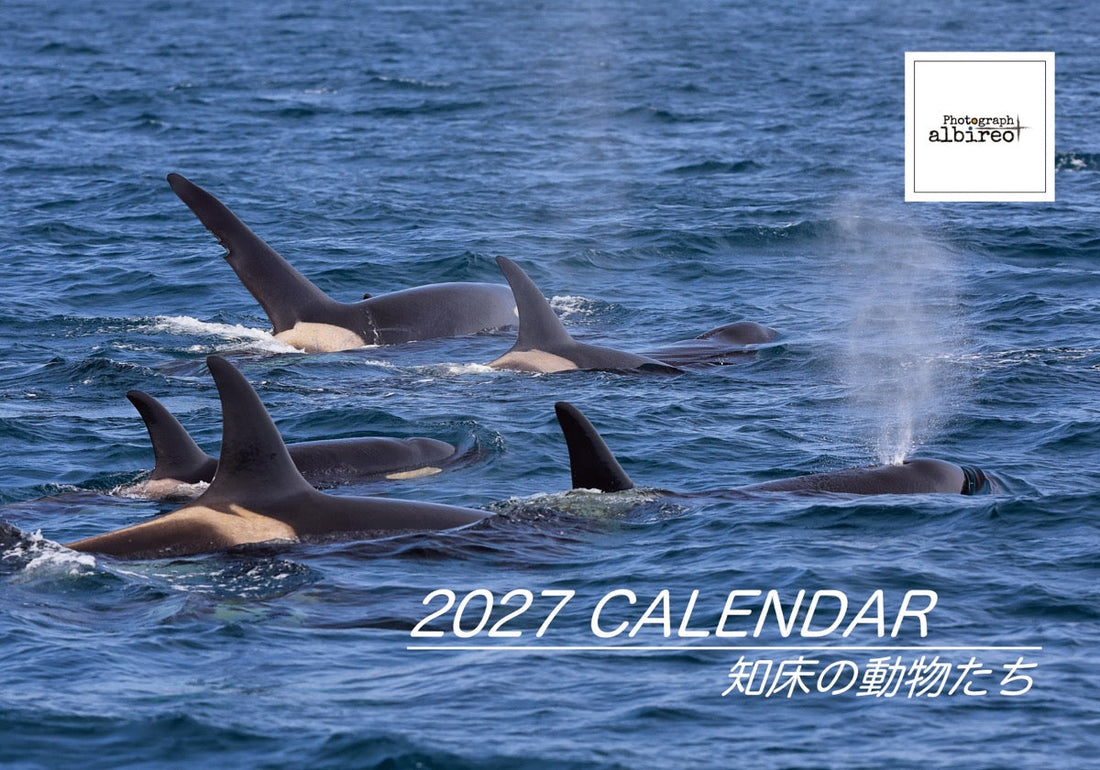 【数量限定】2027年カレンダー「知床の動物たち 」 入荷のお知らせ