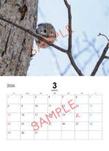 画像をギャラリービューアに読み込む, 【数量限定】知床の動物たち 2026年カレンダー