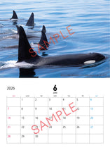 画像をギャラリービューアに読み込む, 【数量限定】知床の動物たち 2026年カレンダー