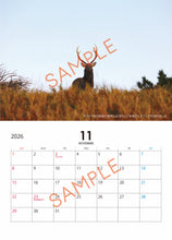 画像をギャラリービューアに読み込む, 【数量限定】知床の動物たち 2026年カレンダー