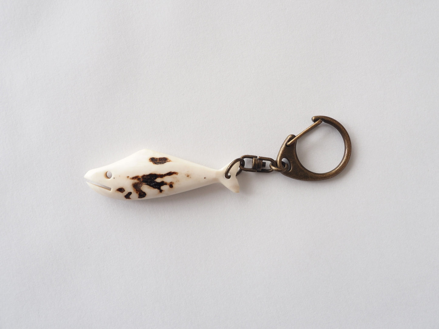 【エゾシカコウボウカルペ】鹿角キーホルダー（魚）