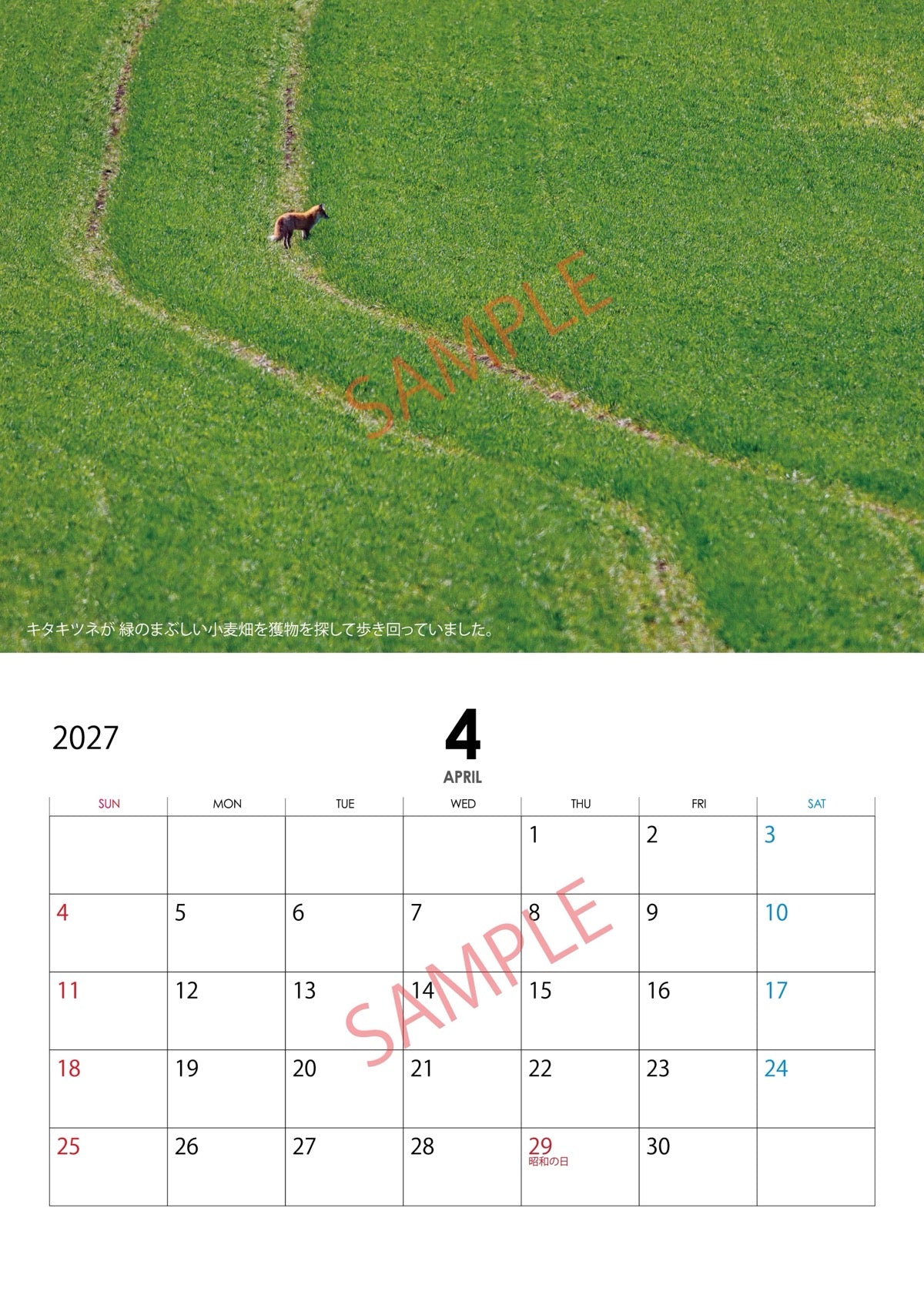 【数量限定】知床の動物たち 2027年カレンダー