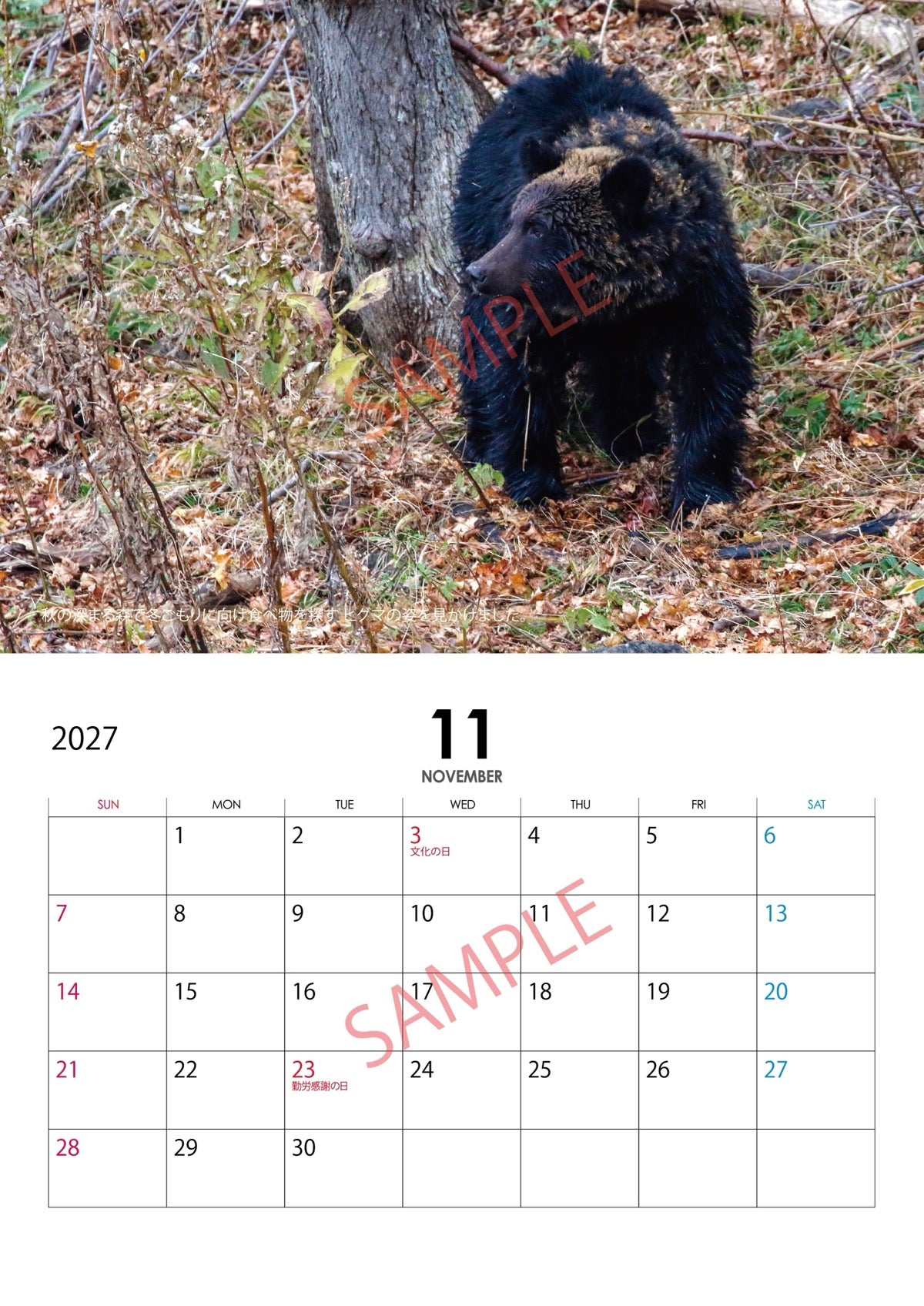 【数量限定】知床の動物たち 2027年カレンダー
