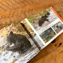 画像をギャラリービューアに読み込む, 世界遺産知床の自然と人とヒグマの暮らし